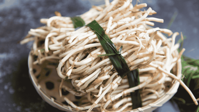 【中醫分享】魚腥草功效與禁忌 清熱解毒天然良藥 Featured image