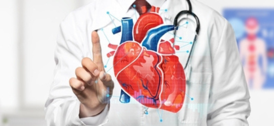 心臟科醫生研究心臟