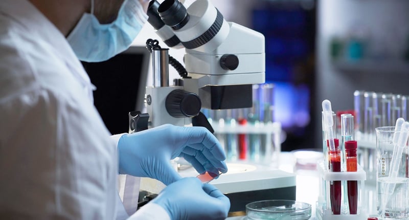 Lab looking into antibodies