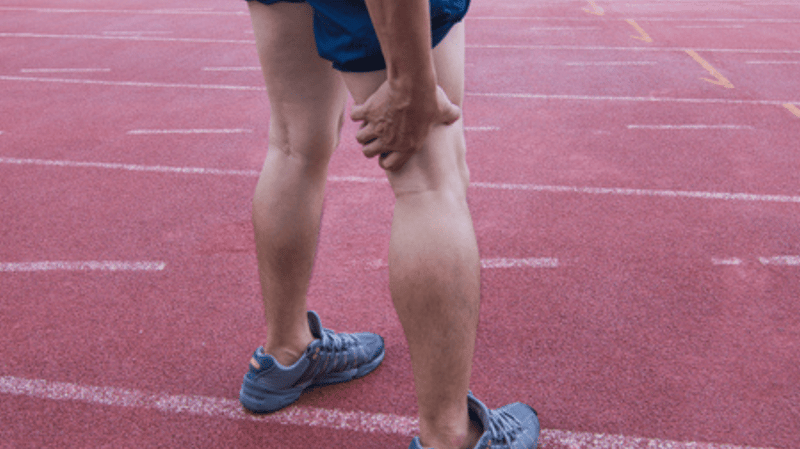 Posterior Cruciate Ligament