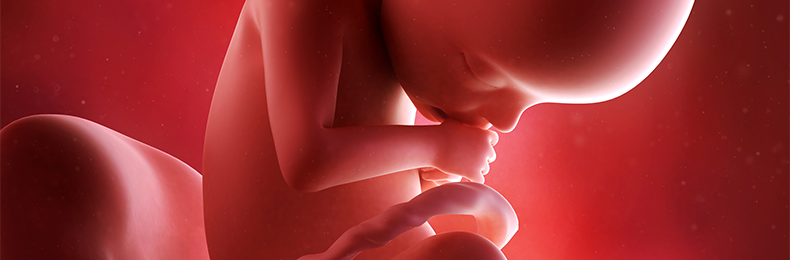 22 Weeks Pregnant - Symptoms & Baby Development | OT&P