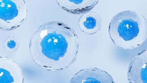 Stem Cell Therapy
