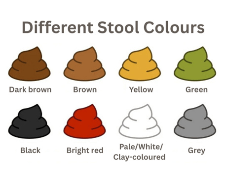 Stool colour new
