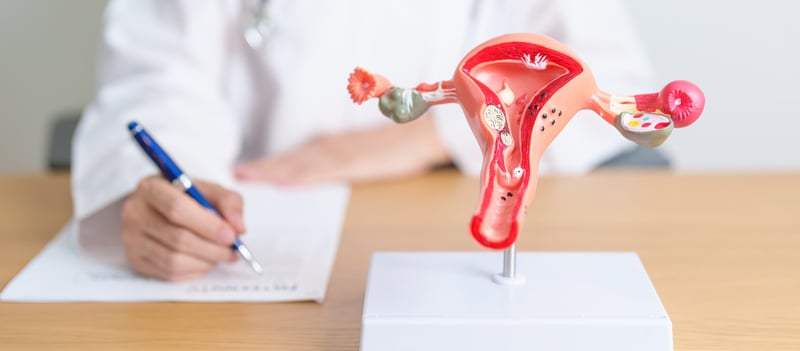 A uterine fibroids model and a doctor
