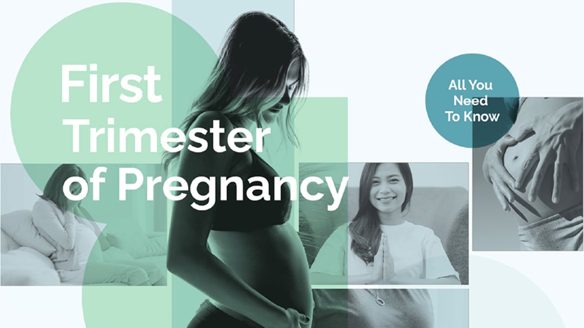 OT&P First Trimester Pregnancy Timeline Infographic - What to Expect? 