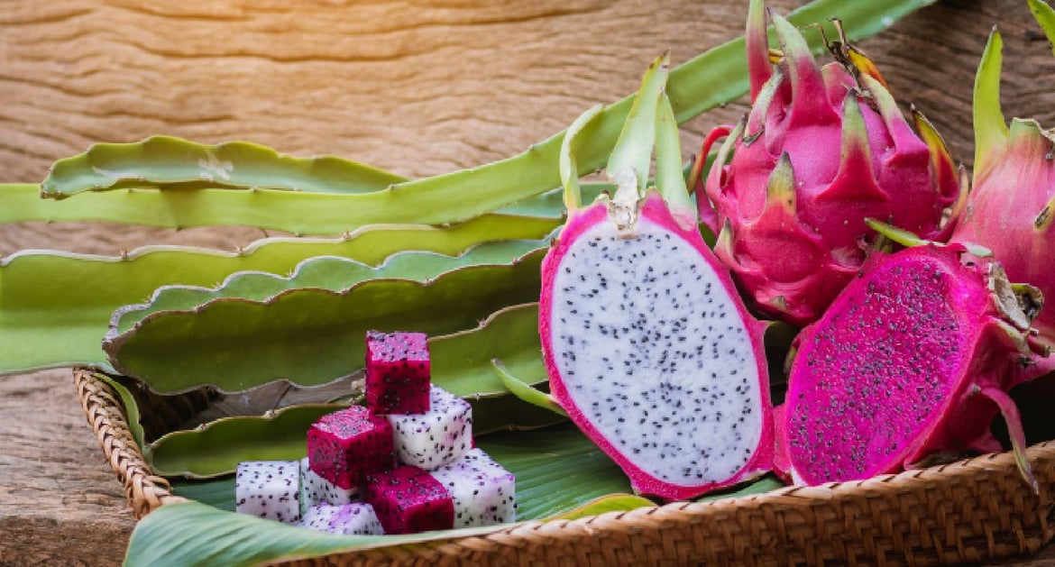 紅色和白色火龍果