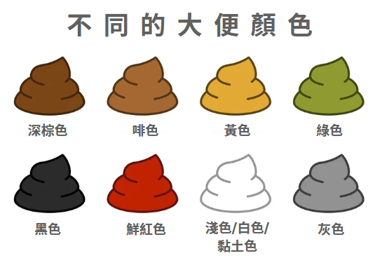 從大便顏色與形狀看健康狀況︰黑色大便是警訊？ | 領康醫療