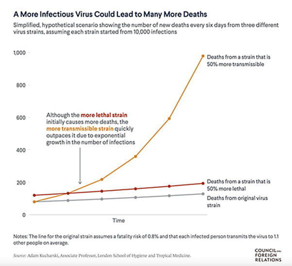 病毒感染度和死亡個案比率