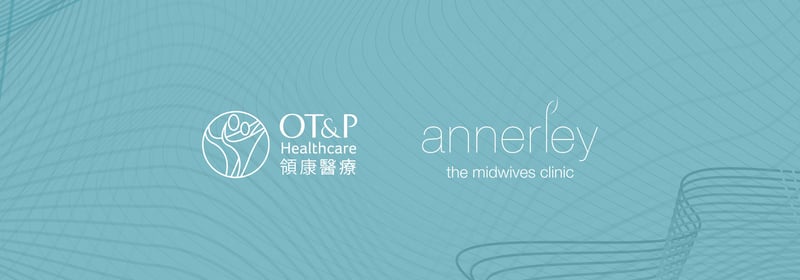 otandp-annerley-merger