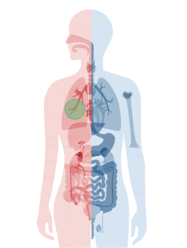 img-liquid-biopsy-cancer-chart-lung-cancer