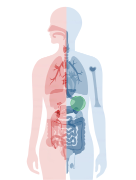 img-liquid-biopsy-cancer-chart-stomach-cancer