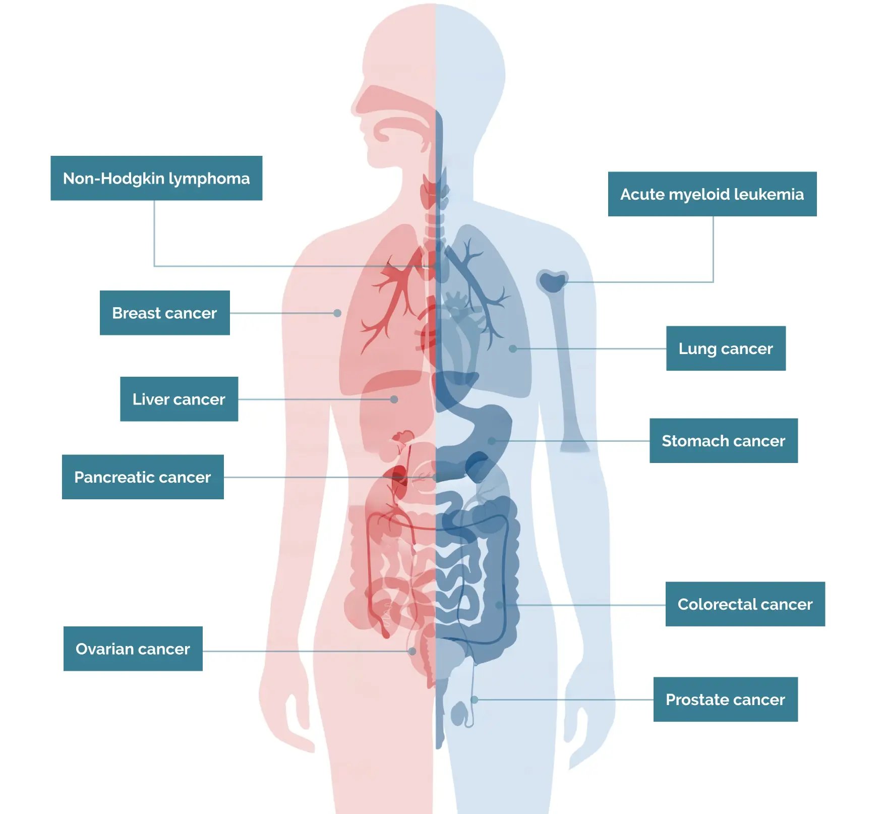 img-liquid-biopsy-cancer-chart