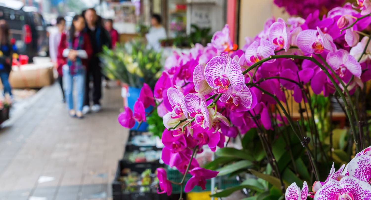 農曆新年人們逛花墟