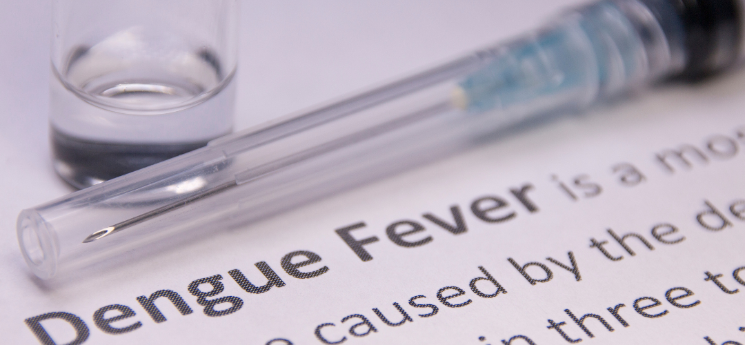 Dengue Fever banner