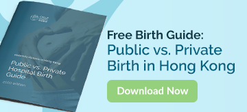 hong kong birth guide ebook