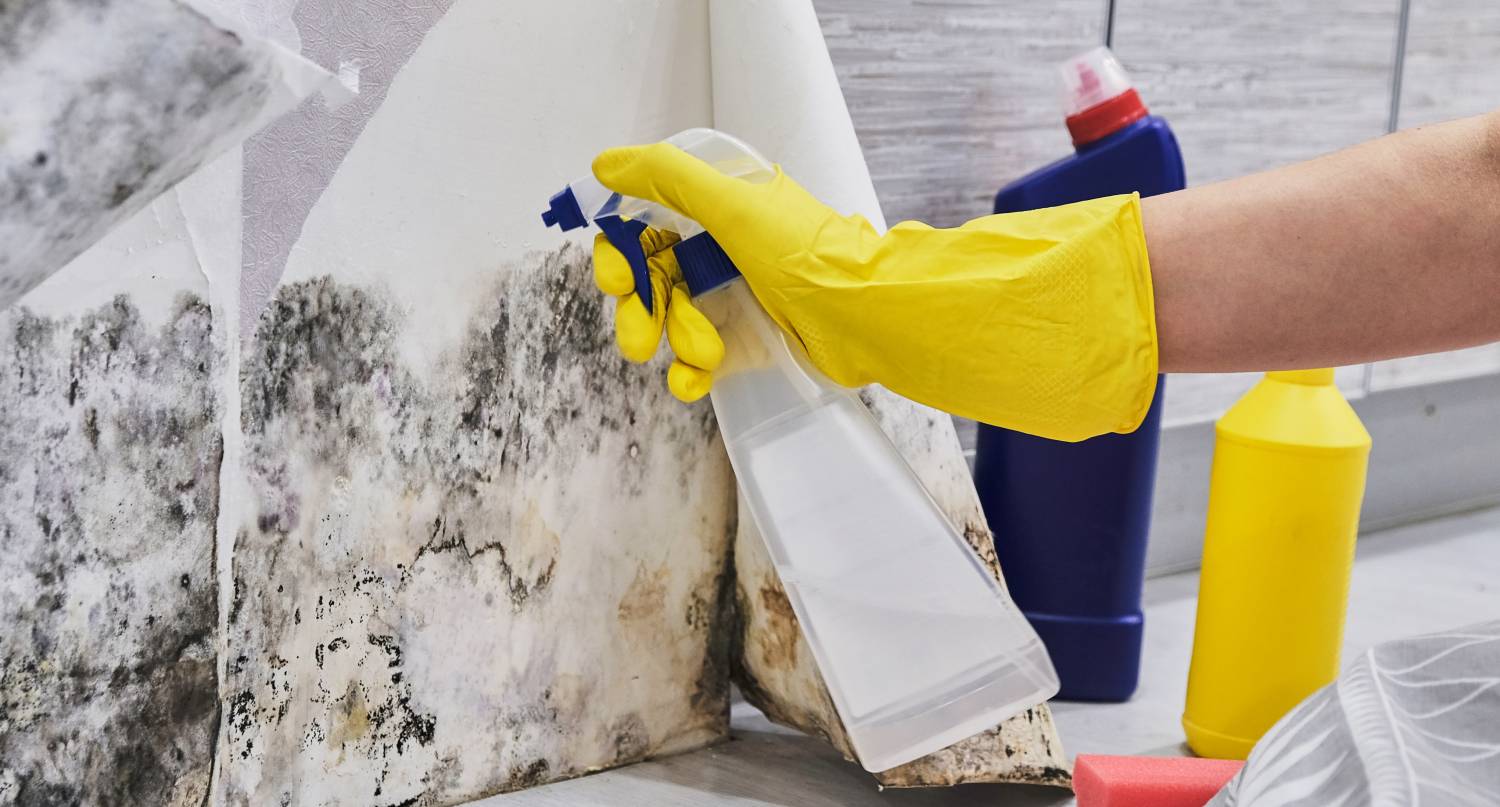 清潔家中霉菌